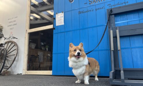 出展記録【サイクルステーションサカタ】