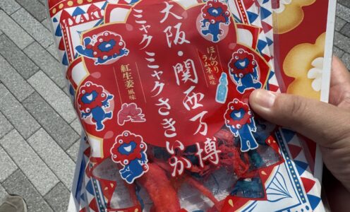 大阪・関西万博に行ってきました（その３）