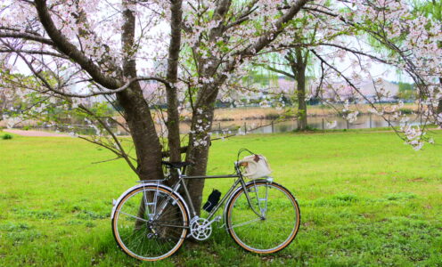 ライド記録【French Vélo Meeting】