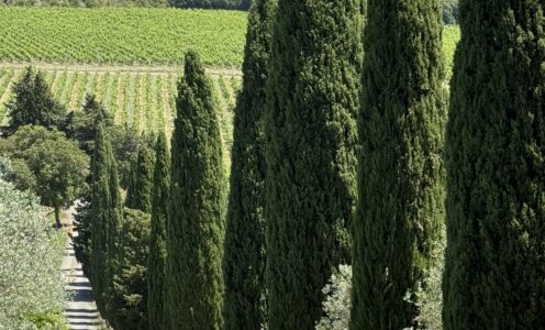 イタリア出張報告会の参加可否連絡につきまして。